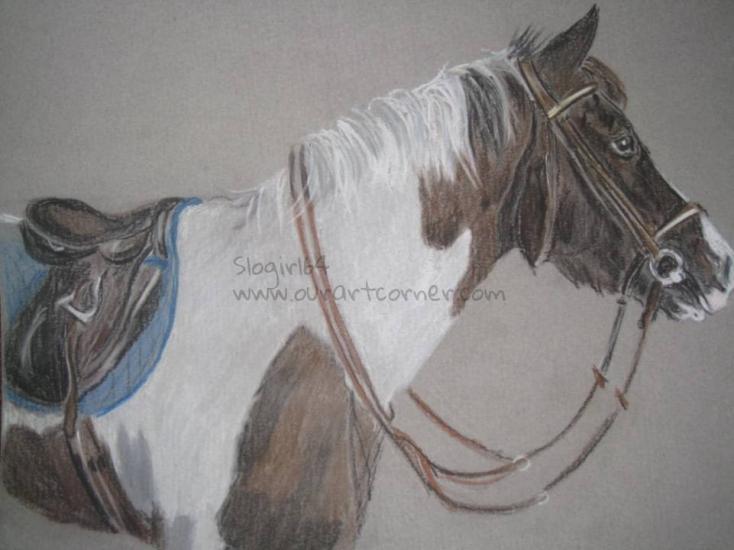 Ivor, skewbald pony