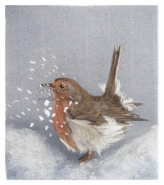 Christmas Robin