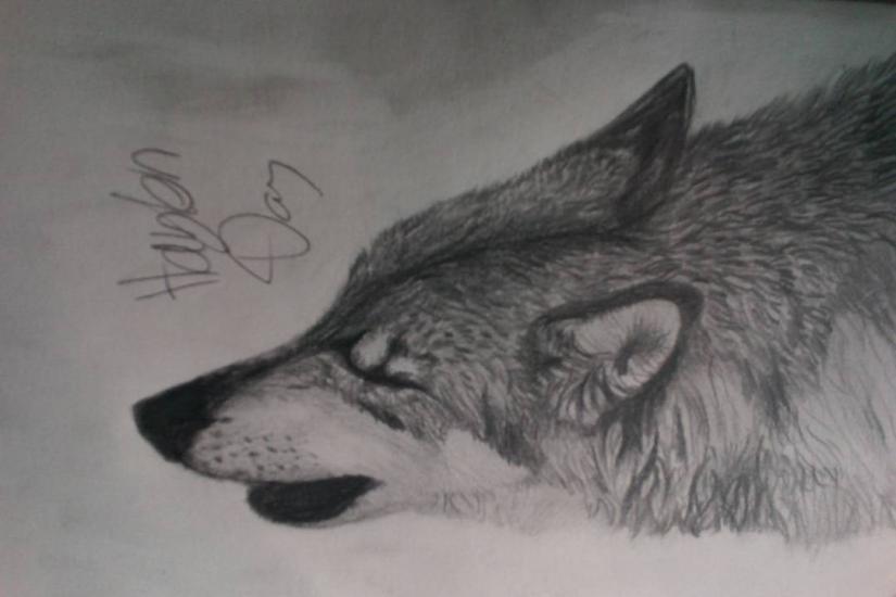 howl