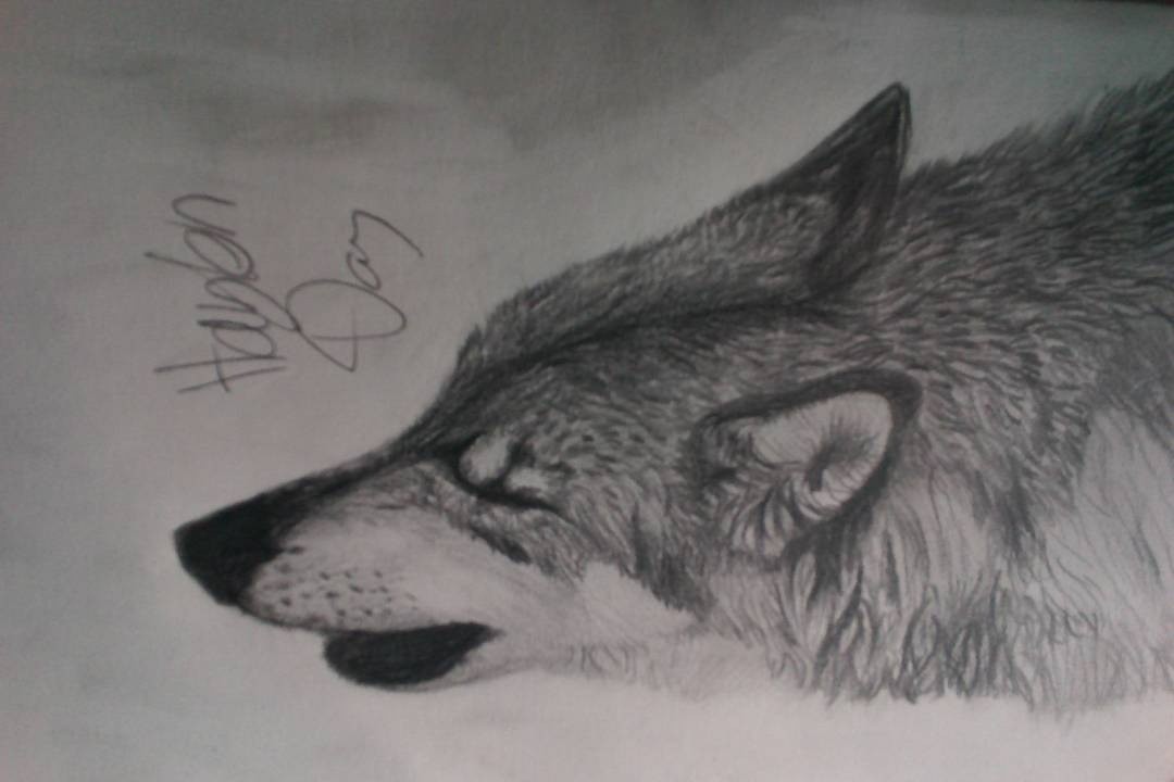 howl