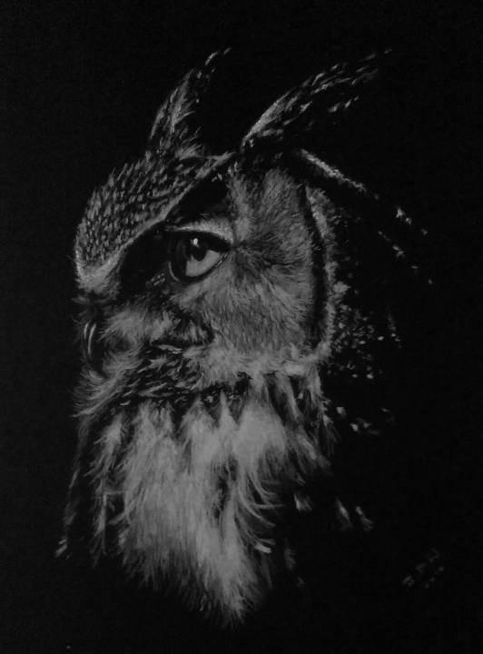 Long Eared Owl by JPW Artist