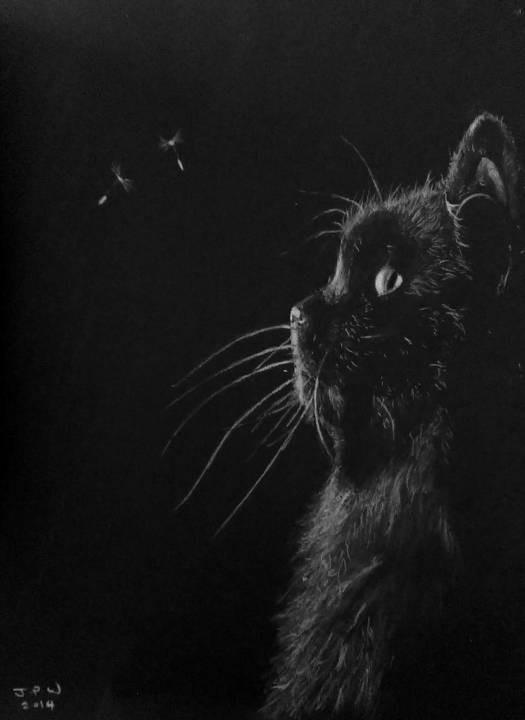 Black cat drawing by JPW Artist
