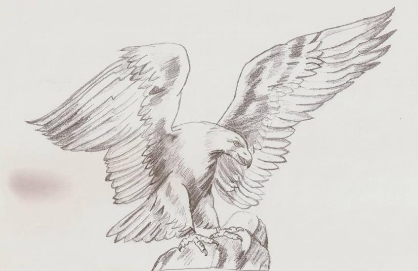 Eagle by maikeru
