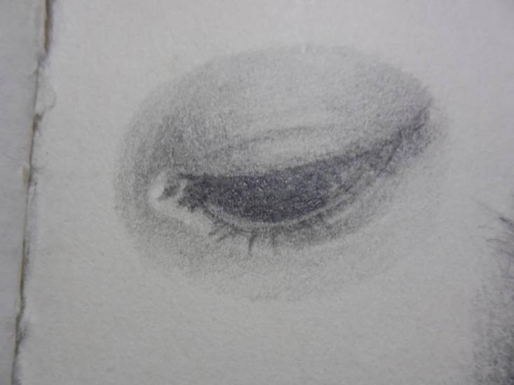 Eye #1