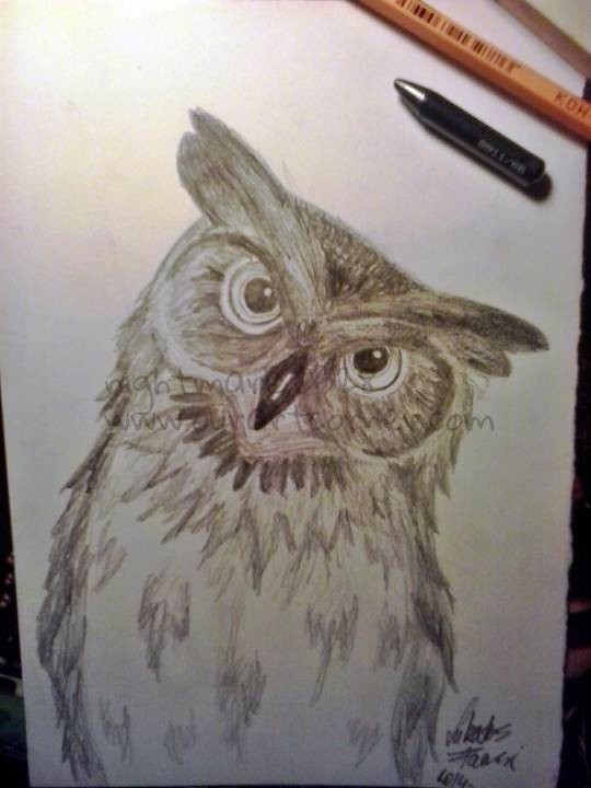 Owl-II