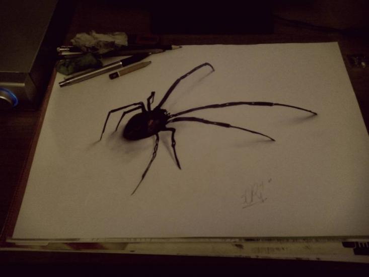 Spider