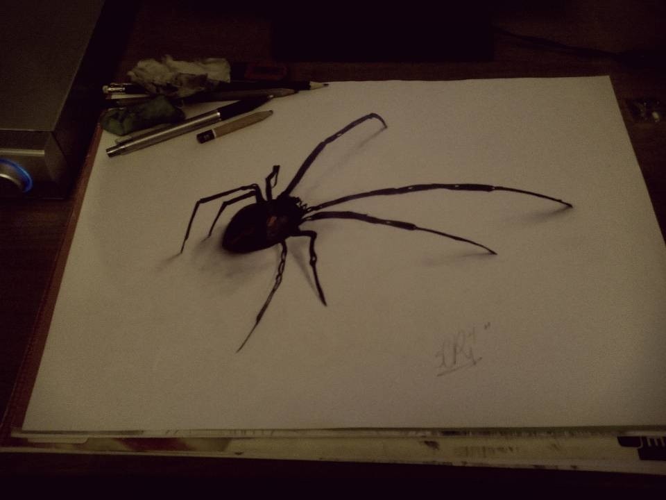 Spider