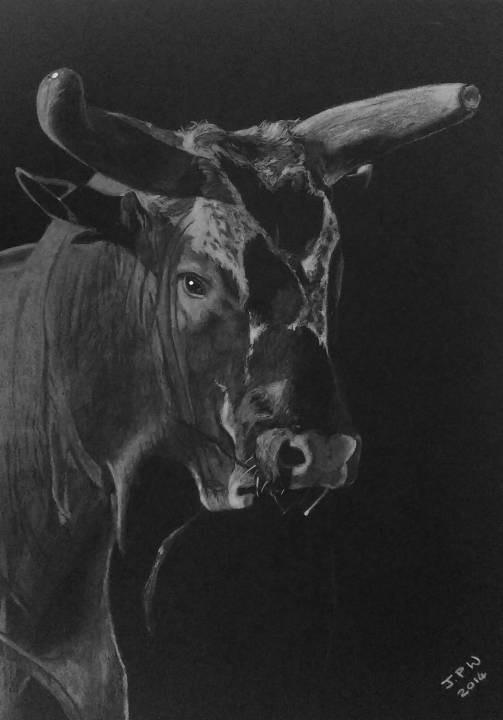 Bushwacker by JPW Artist