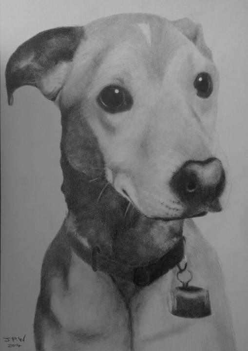 Lucy by JPW Artist