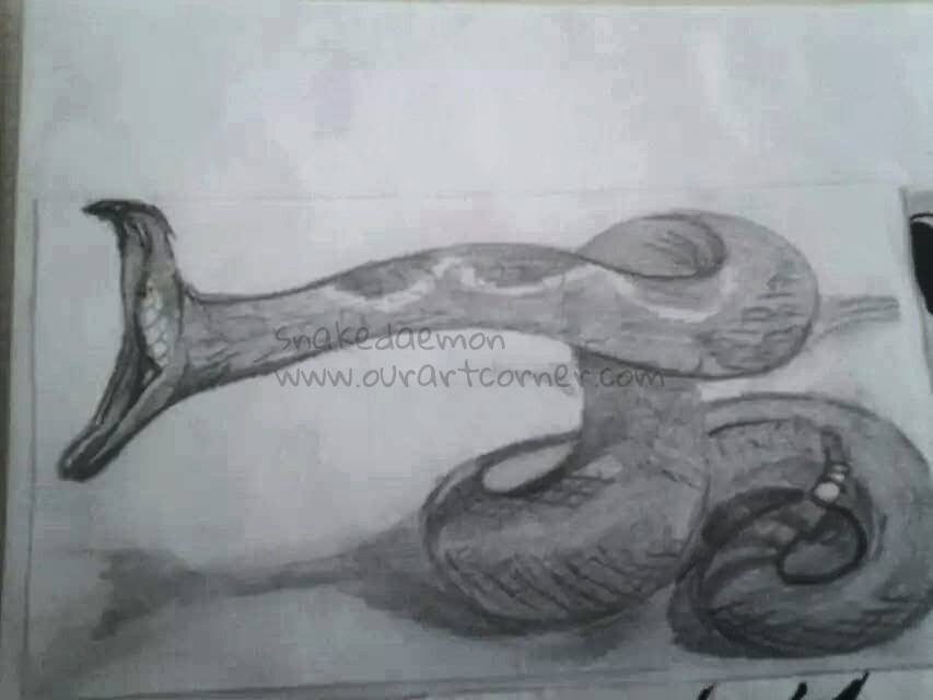 rattlesnake-strikes-out