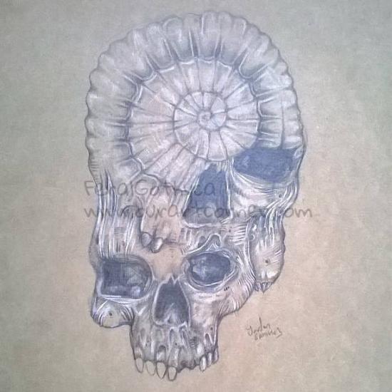 organic skulls drawing by blvckink