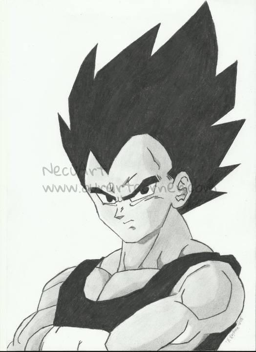 Dragon Ball - Vegeta by NecuArt