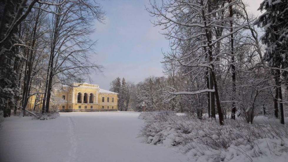 Manor and trees