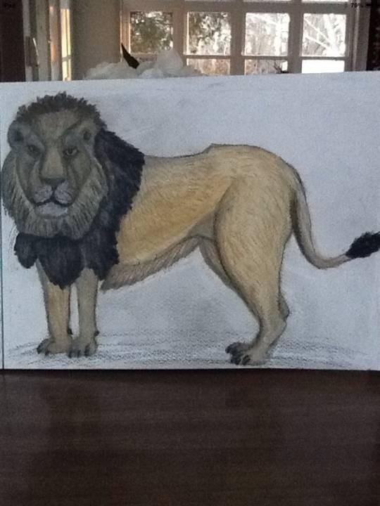 Lion