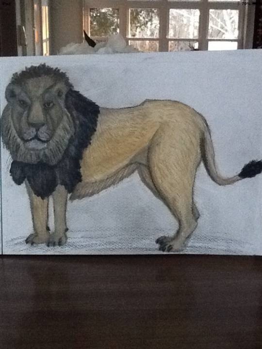 Lion