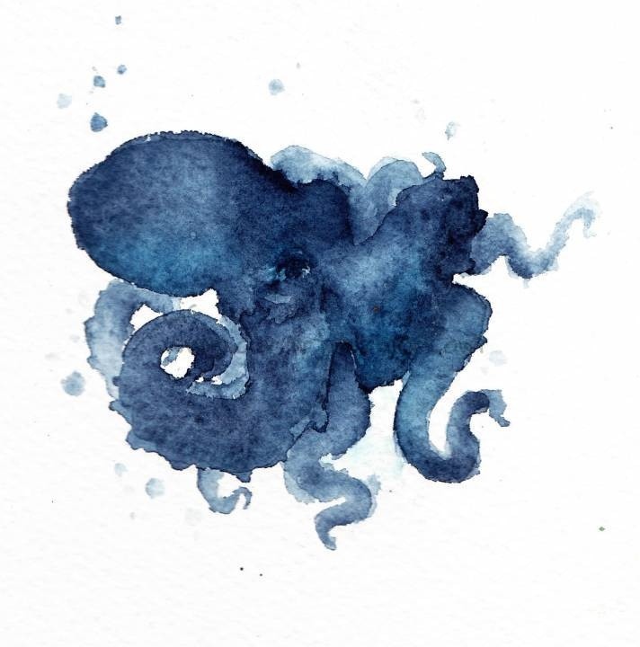 Octopus