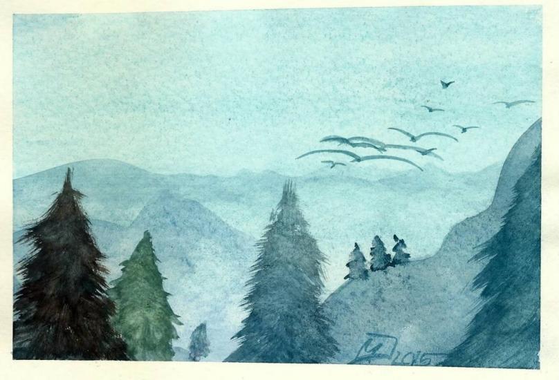 Forest