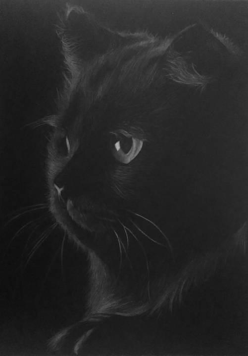 Black Cat 2 by JPW Artist