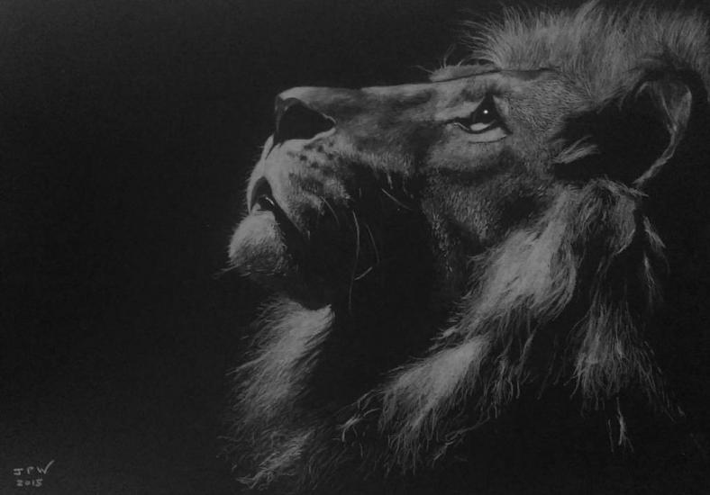 Lion in moonlight by JPW Artist