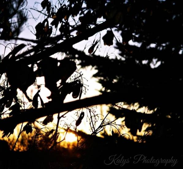 Sunset by Joseph kalys