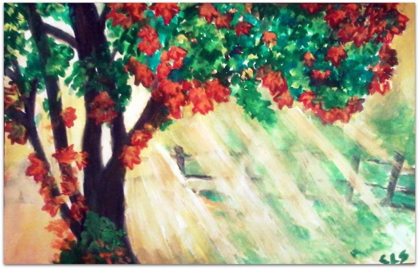 Autumn Tree