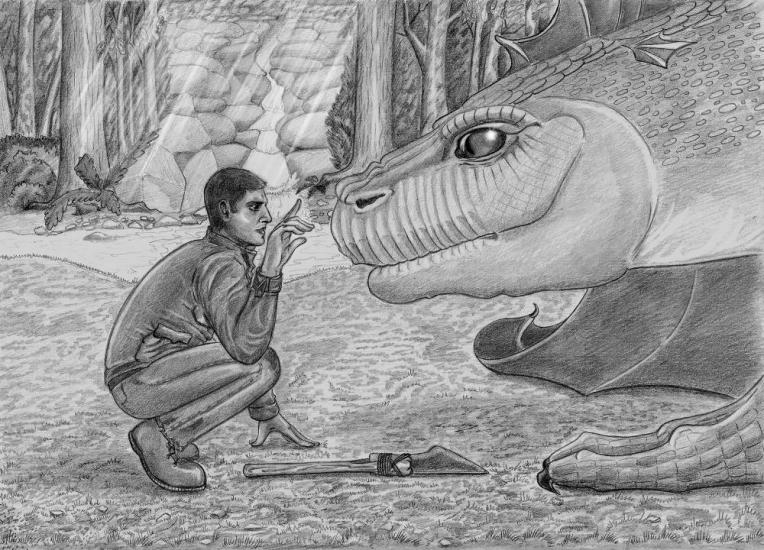 How to train your dragon by Kana Go