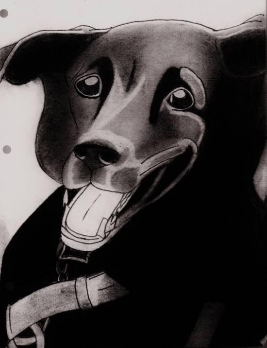 Dumas's Relative's Dog by XML