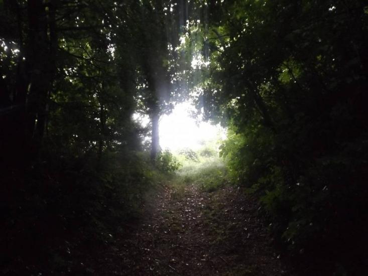 Light of Hope