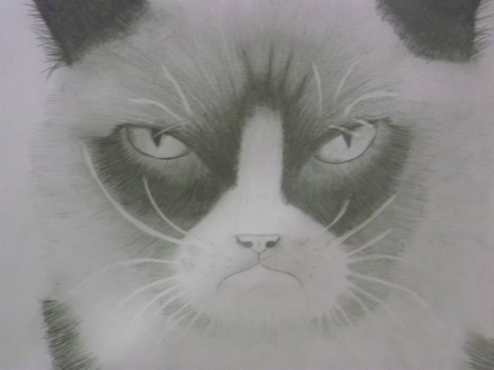 Grumpy-Cat