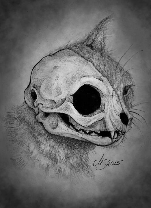 Cats-Skull