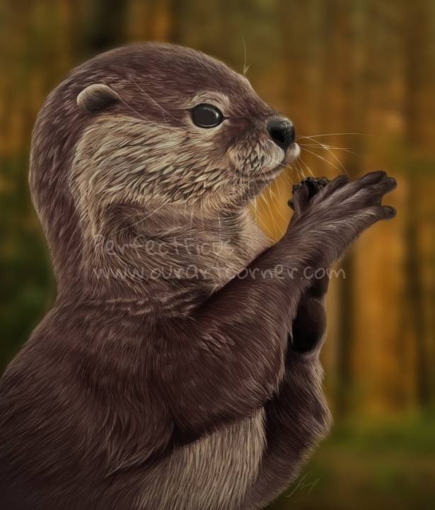 Otter