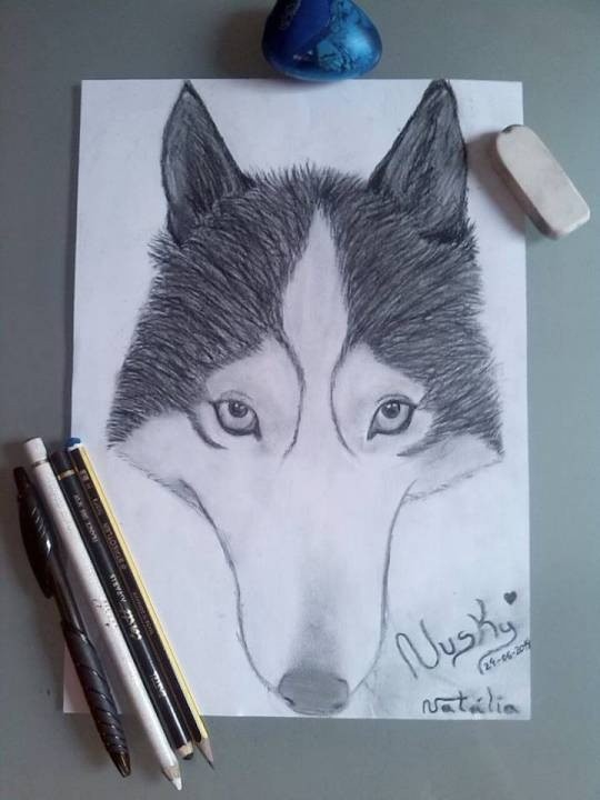 Husky