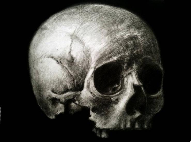 Skull by Giorgia Haran