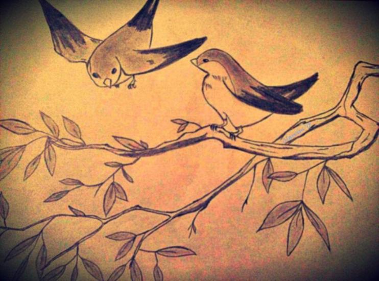 #7 Birds by Clarvius