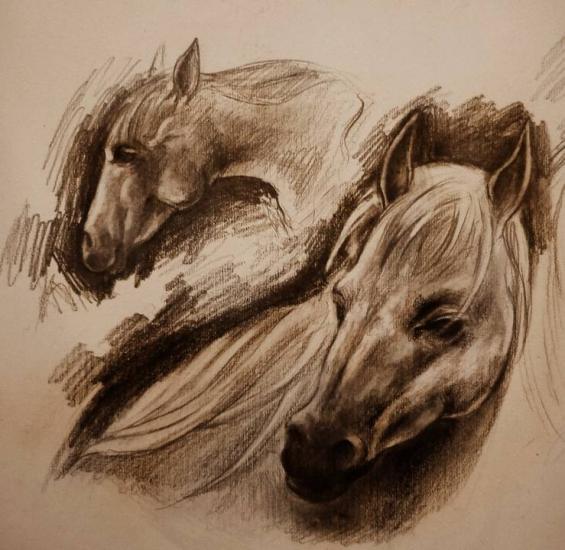 Horses by Giorgia Haran