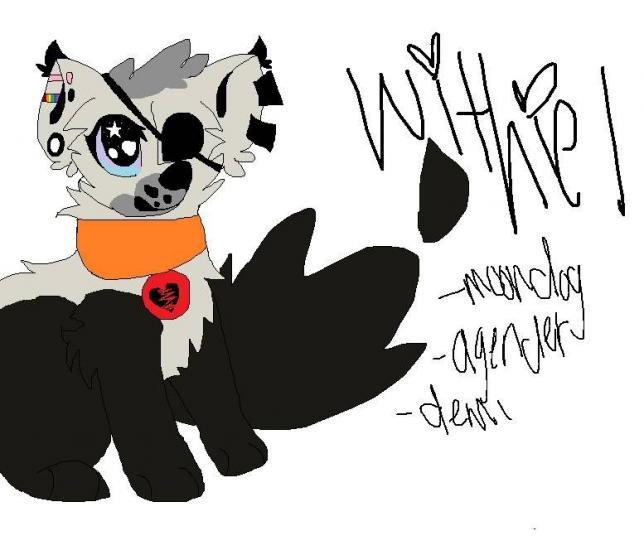 Withiel the Moon Dog