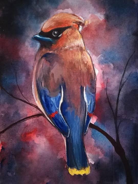 Birdy 2 by Giorgia Haran