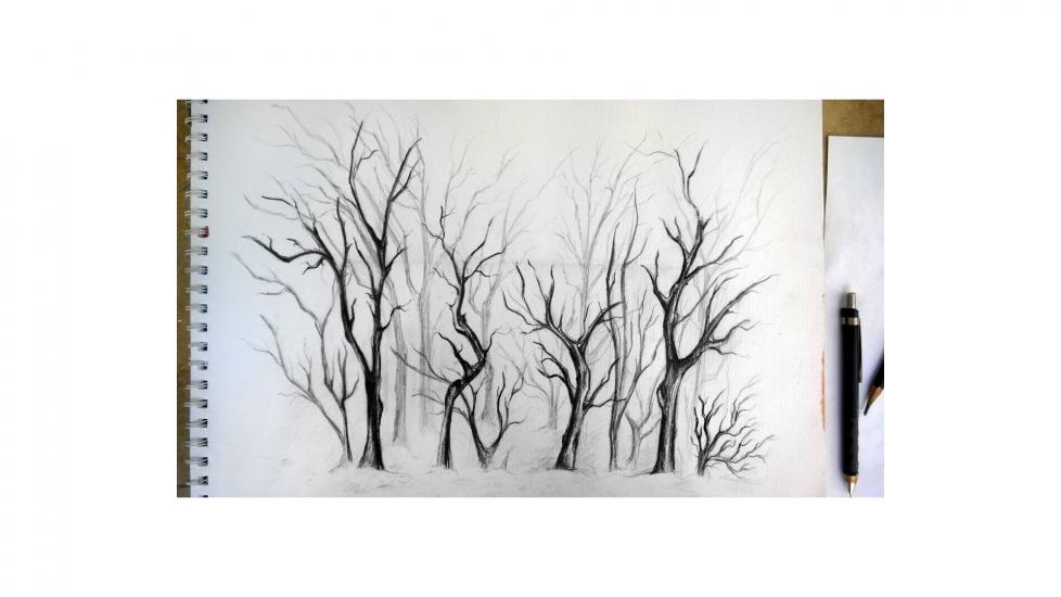 Sketch by Giorgia Haran
