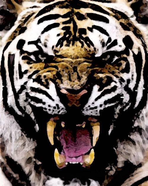 #12 Tiger by Clarvius