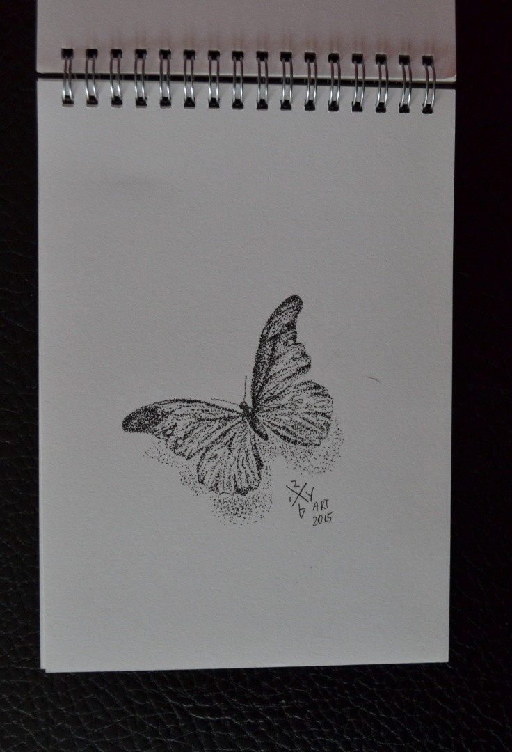 motyl