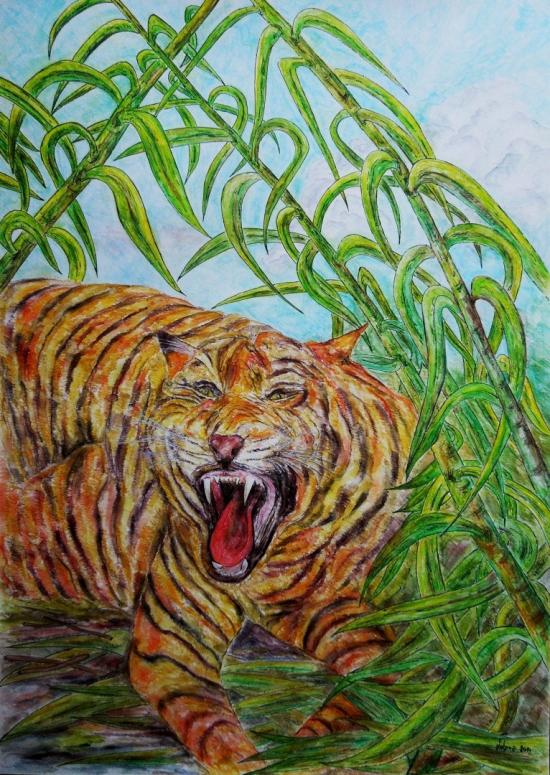 Tigre