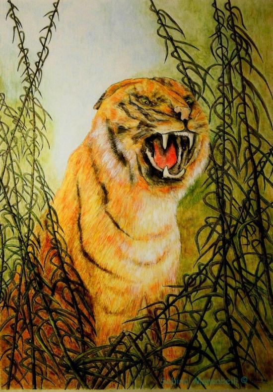 Ferocia