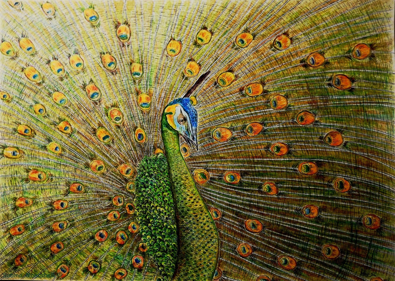 Green-Peacock