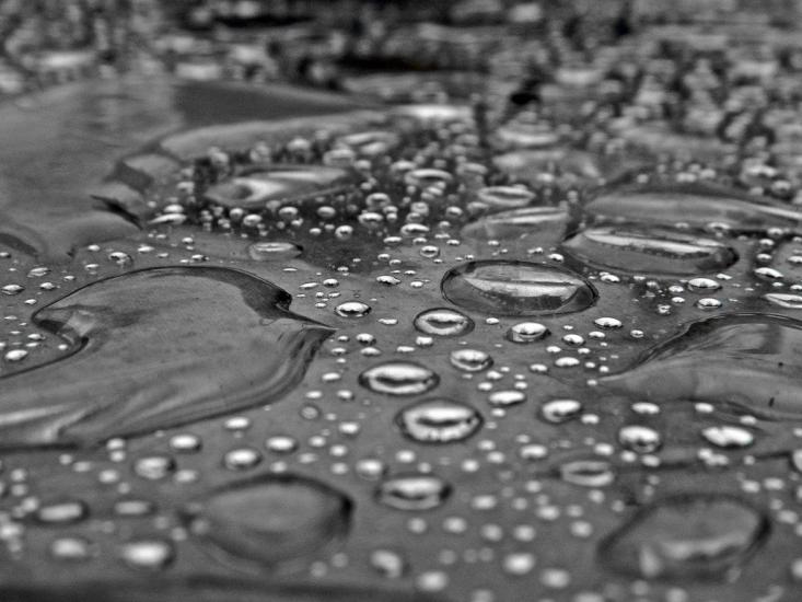 Water Droplets by Joseph kalys