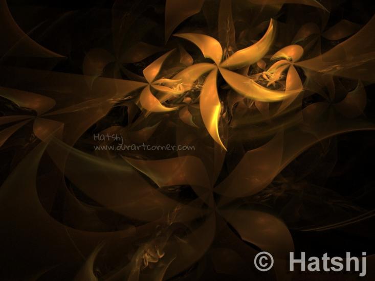 Lily 01