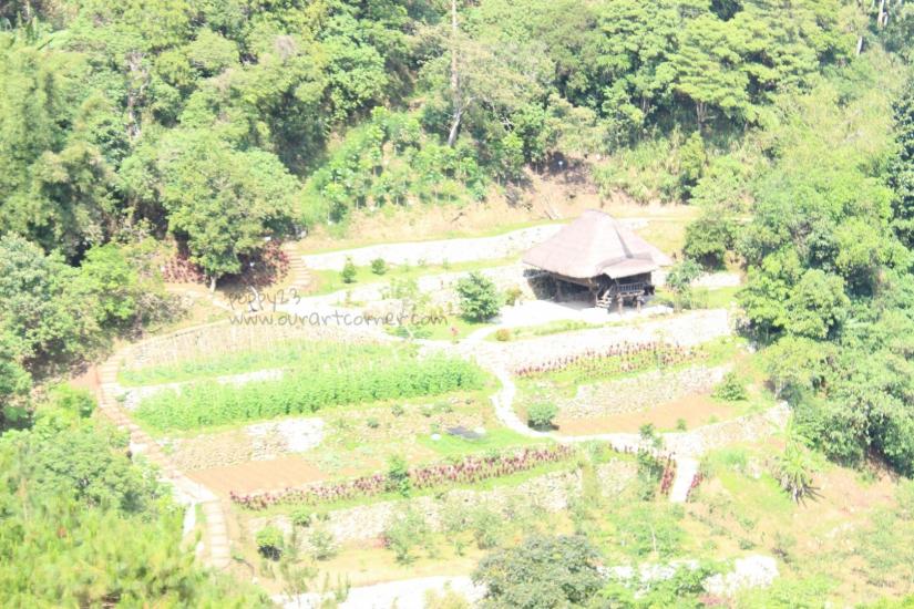 Little Hut 2