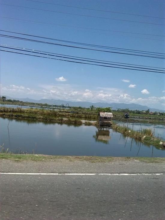 Along the Road