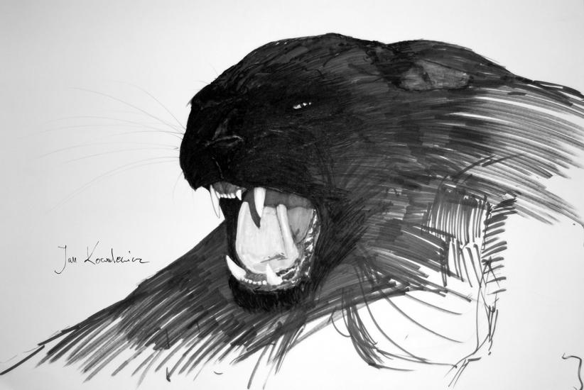 Wild thing! by Jandraws