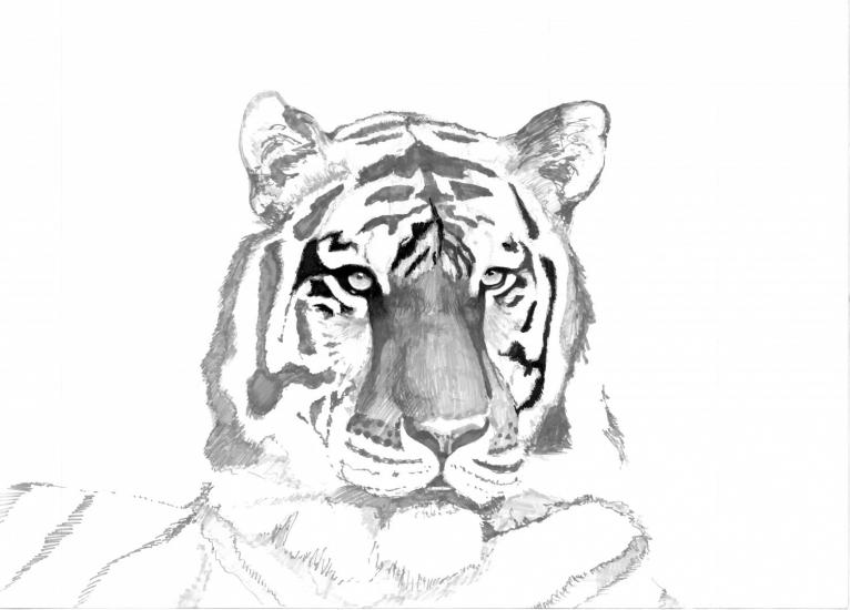 Tiger Guardian by Jandraws