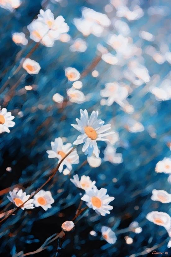 #26 Daisy by Clarvius